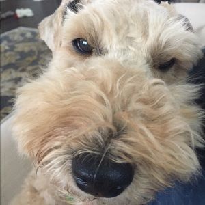 Meet your Posher, Anita